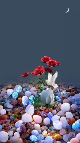 #سبحان_الله_وبحمده_سبحان_الله_العظيم 