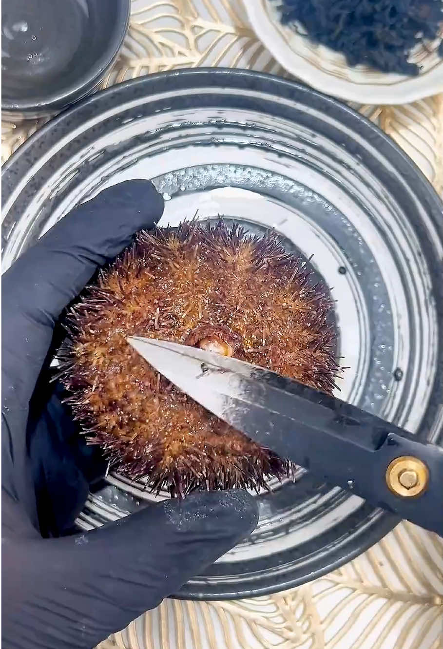 Kondisi terkini mushola PONPES Al Khoziny Sidoarjo ambruk saat salat ashar #jtvjember #evakuasi #sidoarjo #fyp 