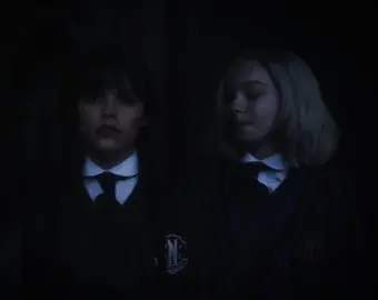 #энидсинклер #уенсдейаддамс #венклерканон #венклер 