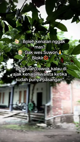 Kandani wong lanang ki panggone setia kok😇#jowopride🔥 #jowostoryシ #katajowopride #fyp #fyppppppppppppppppppppppp 