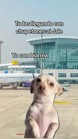 #CapCut #meme #viraltiktok #humor #trabajo 