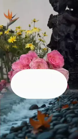 صبــــــــــــاحكم خــــــــــــــير🌹🌹#دعاء_الصباح #صباح_الخير #اصبحنا_واصبح_الملك_لله #foryoupage #fup 