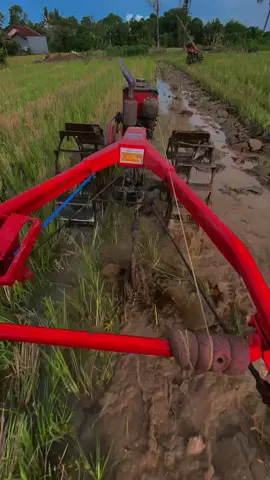 Duet mesra ambi yanmar jowo😅#petaniindonesia🇮🇩🇮🇩🇮🇩🌿🌿 #traktorsawah #petani #petanimilenial #traktor 