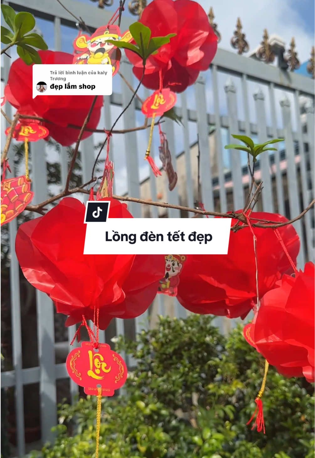 Trả lời @kaly Trương chuẩn bị tết sớm , lồng đèn tết năm nay đẹp quá #videoviral #xuhuong #tet #viral #longden 