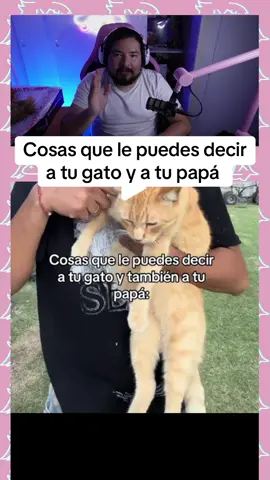 Cosas que le puedes decir a tu gato y a tu papá #elunicoana #parati #chisme #paratusamigos #humor 