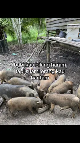 Upss🤣🤣#fyp #like #masukberanda #kalimantanbarat 