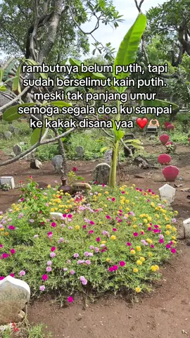 tenang di alam barzahnya Allah ya mbak 🥹❤️ terimakasih sudah menjadi kakak aku selama 19 tahun ini ❤️🫶🏻. miss you <3 #husnulkhotimah #meninggaldunia #pemakaman #probolinggo #reminder 