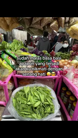 arcis selain dibuat peleng sayur sop , paling enak dimasak apa ya? silahkan yang cari sayuran segar selalu ready dilapak MbakLiid Buka setiap hari mulai jam 05.00-11.00 Lokasi📍pasar baru bluru kidul sidoarjo #fyp #sayuran #sayuransegar #masukberanda #sidoarjo 