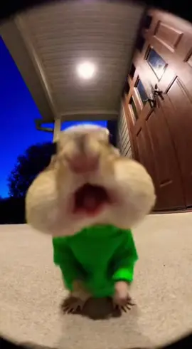 What Alvin chipmunks Love In Speed Mode #trending #sora2 #cctv #alvinandthechipmunks 