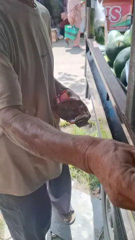 pelanggan setia mau hujan dan panas yg viral di fbku😅 fb:Antoc fruit #fyp #semangka