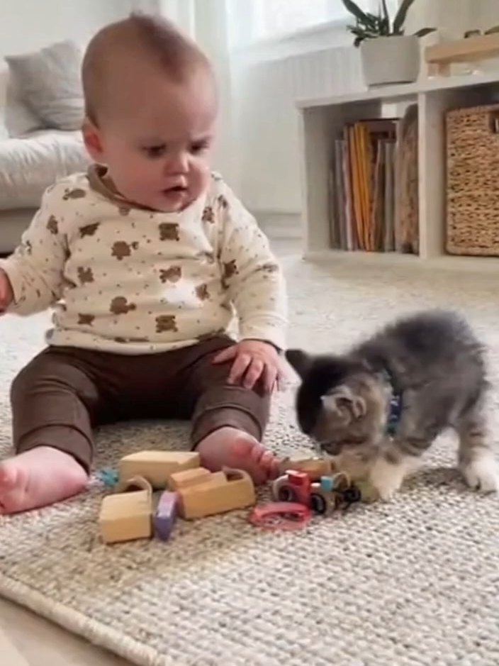 2️⃣ Cuteness Overload 😍 | Baby and Kitten Moments That Melt Hearts #catlover #catsoftiktok #PetLoyalty #cats #AnimalLover #FunnyAnimals