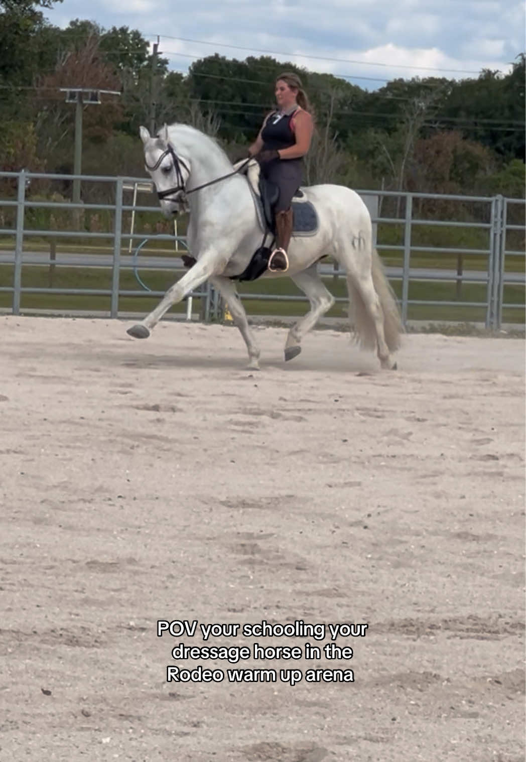 We got a little over powering towards the end, hence the slight bobble in the connection. But he’s becoming much more harmonious and connected each ride! We’ve had some big changes since moving. Our arena is under construction, so for the meantime we have to go school at the rodeo!!😂🙈 I’m not even joking. It’s so nice that it’s open to the public and free of charge! #armasfuencaliente#fyp#sbcdressage#fypシ#fypシ゚viral
