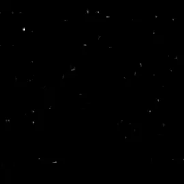 سأترك وصلكم عزا وشرفا #شعر #الكرامه #كلام_من_ذهب #اكسبلور #fyp 