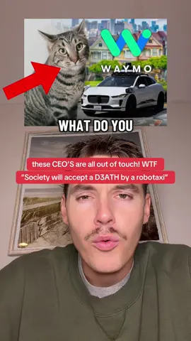 Waymo kitkat bodega cat hit movie 😳 what do you think? 👀