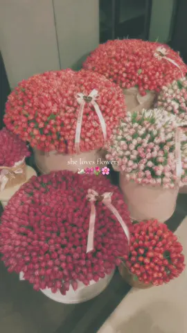 a girl's happiness🦢🎀🕯️🌷🌸