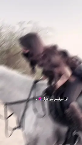 #نانا #abha #explore #خيل_وخياله🐎 