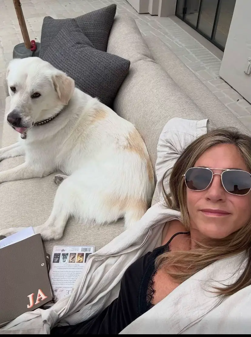 @Adolfo León @Ainārs @Anthony morra @alkalu69 @Anthony Tolliver @arthurhernandez428 @Ato Miharto @Bill @BRYSON @Donald  Batko @Gary Tyler @Harland @Fkyeah2 @Jacob jacobus Barnard  everyone, it’s Jennifer! I’m working on growing this account, and I’d love your support a follow from my loved ones and fans would mean a lot ❤️.”