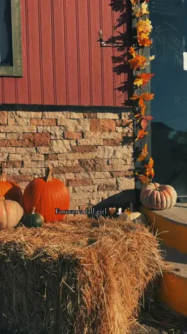 Hello November 🎃🍂 #fallvibes #november #pumpkins #autumn #fallaesthetic 