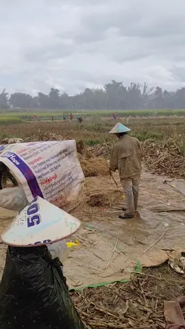 #ၸၢတ်ႈပၢၼ်💪🏻🌾🌾#ဆယ်လီမှအသဲပေးတာလား😔😑 #fyppppppppppppppppppppppp 