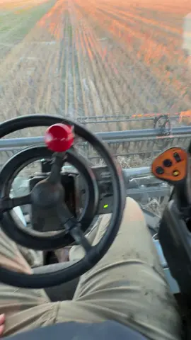 Steadysteer 🤝🏼 2188 🤝🏼 Draper 🤝🏼 terrible yielding double crop beans.  The hogs are being cranked 