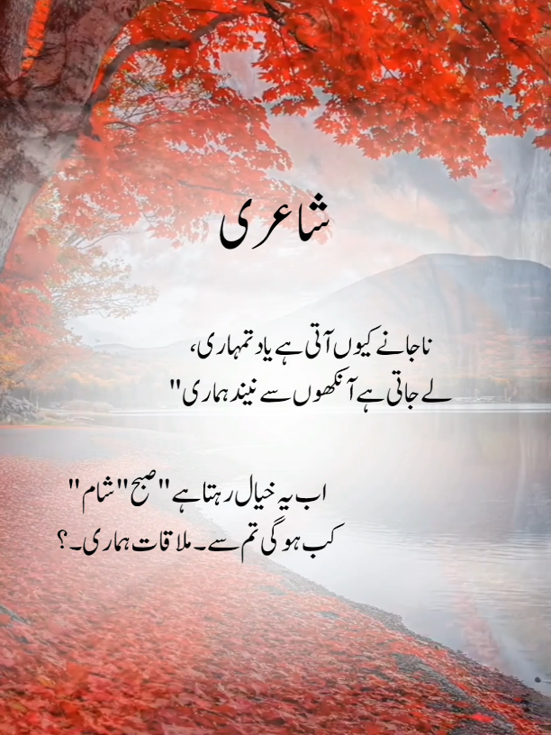 kab Hogi mulakat tumse hamari😭💯... #mirzaghalib  #potterytiktok  #ghazal  #iqbal 