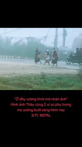 Tuyệt đẹp 😍🥰 #xuhuong #thichminhtue #gaimienque ☘️🌸