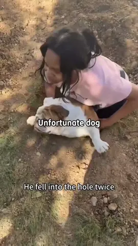 An unfortunate dog#dog#funny#funnyanimals#funnypets#animals #dogsofttiktok #pet #foryou #longervideos