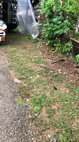 ကဲ အဆင်သင့်ဘဲလ 😋🫂 #BTD #HKT #fyppppppppppppppppppppppp #foryou #ပြည်တွင်းဖြစ်ကိုအားပေးပါ @爱POÑ✰✔︎ 