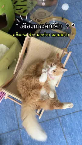 #ทาสแมว #เตียงแมวลับเล็บ #เตียงแมวน่ารัก #เตียงแมวมินิมอล #เตียงแมวไม้ 