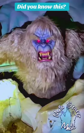 #disneyworld #disneytiktok #disneyparks #fyp #fy 