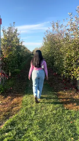 🍁🍂#creatorsearchinsights #fall #fyp 