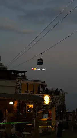 مالمحت الحزن بين في عيوني ما عرفتك ولا عادي عايش الدنيا بدوني ما وحشتك ! ❤️‍🩹 #اكسبلور #عايض #explore #florida #fyp 