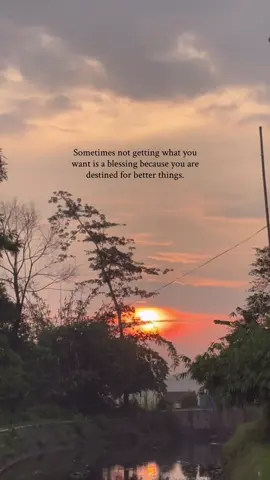 #aestheticsx_01 #foryou #Love #foryoupage #fyp 