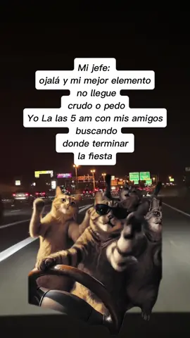 #CapCut #MemeCut #paratiimemeviral #fyp #paratii 