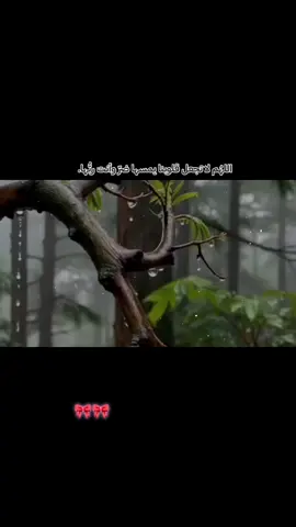 #صلاة_الفجر #دعوة #rypシ #ry #قران_كريم @نبيل العوضي قصص أوعبر📚🕋 @,سعد الغامدي @القارى بلال دربالي @رمـ༈ۖ҉ـاد 🖇 