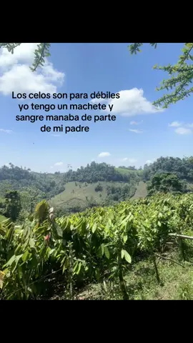 #manabi #ecuador #🇪🇨 #parati #fyp 