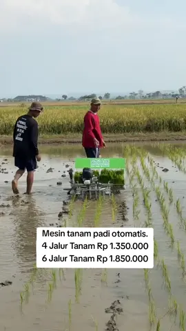 ALAT TANAM PADI MODERN Mesin tanam padi otomatis 4 Jalur Tanam Rp 1.350.000 6 Jalur Tanam Rp 1.850.000 Ukuran jarak tanam bisa di sesuaikan: 20x20, 25x25 30x30 cm Garansi mesin 2 tahun #tanampadi #petanimilenial #pertanian #fyppppppppppppppppppppppp #viraltiktok 