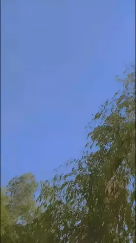 Hoshsa Ghalahe🔥 #trending #viralvideo #unfreezemyaccount #foryou #fyp @TikTok @zameersuhindro 