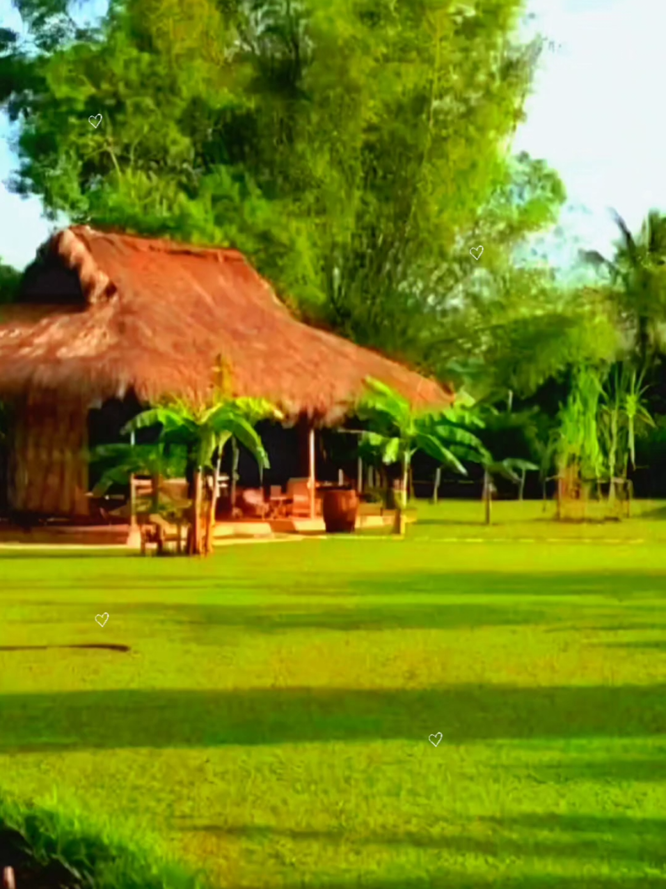 #CapCut Feliz y bendecido día 🙏🤠🪉🎶#Para ti #fyp 