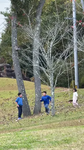 #masukberanda #fyp #kenshuseijapan🇮🇩🇯🇵🎌 #japan #xyzbca  