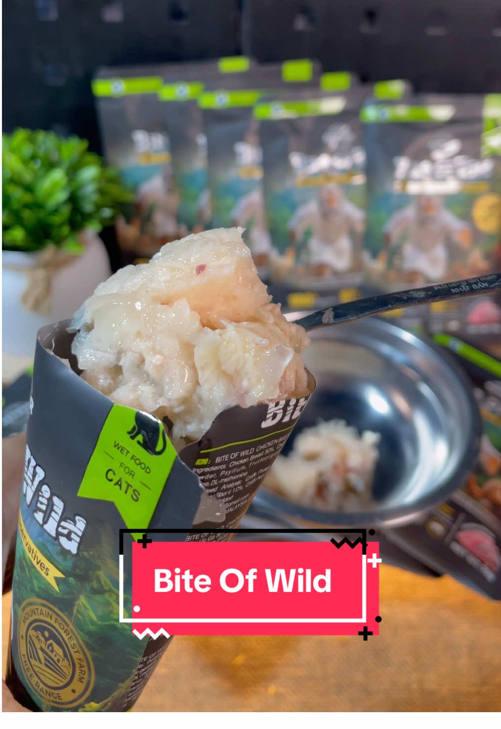 Pate Bite Of Wild.Thức ăn cao cấp dành cho mèo#thuhaifreeship #saleluongve #cuocduanhasangtao #chiendichnhasangtao #biteofwild 