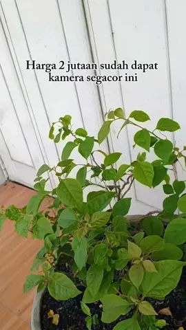 desain cakep kamera gak kalah cakep🥰 #TecnoIndonesia #Camon40Series #Camon40 #TecnoJawatimur #TecnoPromotor