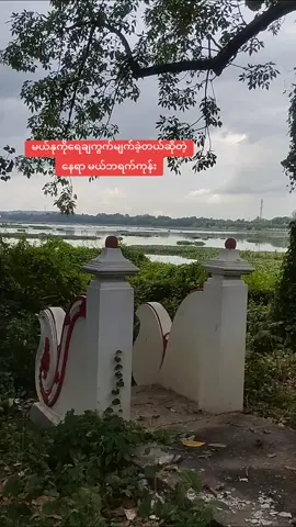 #တောင်သမန်အင်း #တနင်္ဂနွေဒေါင့် #foryou #