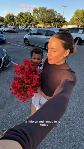 i ended up ordering the one from lowe’s online .. will post once it arrives😌 #flowers #fall #fallflowers #faux #patiodecor 