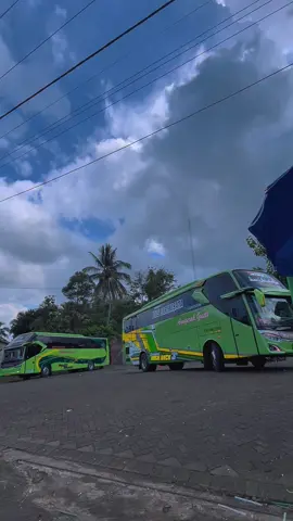 kondisi lagi gacor ketua 🤌 • • • #anugerahgustipariwisata #pariwisata #vidiobus #bobygallery09 #beranda 