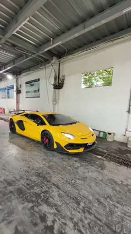 Tiếng máy của V12⚡️ mê mẩn không ae #xuhuong #aventador 