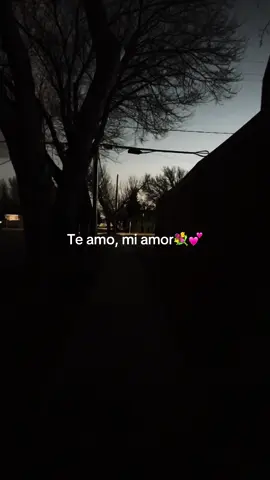 The only Spanish word I know🫩 #fyppppppppppppppppppppppp #mexico #amor #teamo #fyp 