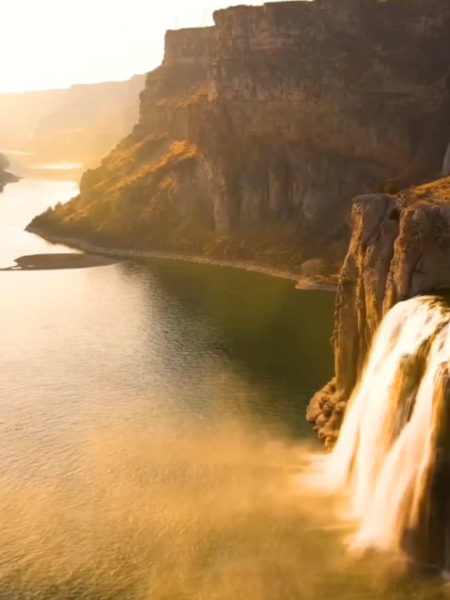 Paradise Grove Milk brootal #niche #141 #pnw #bp #agartha @Mari 🌲 