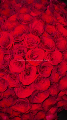👩🏻‍❤️‍💋‍👨🏻 #fyp #rosas 