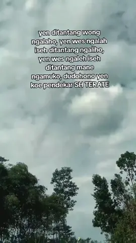 ora ono sejarahe sh terate kanji #psht 